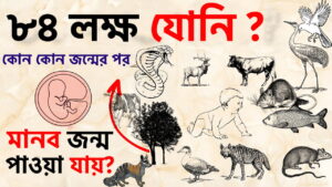 Read more about the article আত্মা কিভাবে ৮৪ লক্ষ যোনি ভ্রমণ করে? কোন কোন জন্মের পর মানব জন্ম পাওয়া যায়? 84 Lakh Births Explained